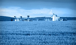 2016 VERGİ TAKVİMİ